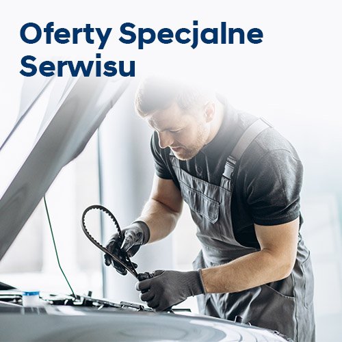 Oferty serwisu